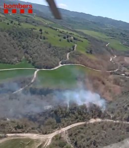 Incendi de vegetació forestal a Palouet (Lleida)