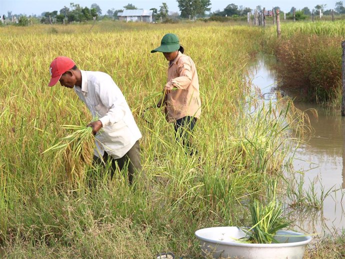 Manos Unidas impulsa proyectos contra la desigualdad provocada por la crisis climática en Camboya, Paraguay y Madagascar.