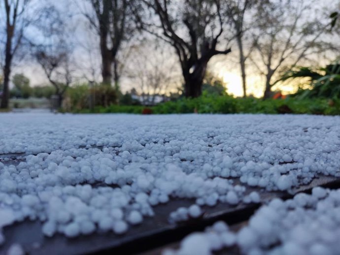 Archivo - Heladas por las bajas temperaturas.