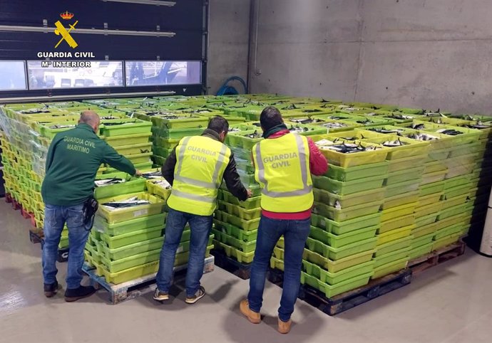 Intervenidos en Laredo más de 9.500 kilos de caballa etiquetados sin haber pasado por la lonja