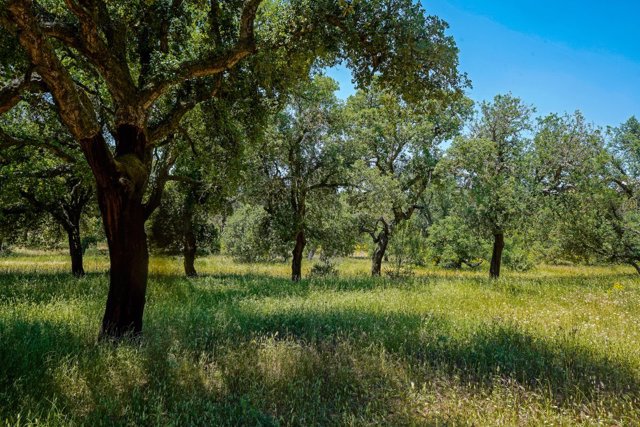 Ruta del Vino de Rueda