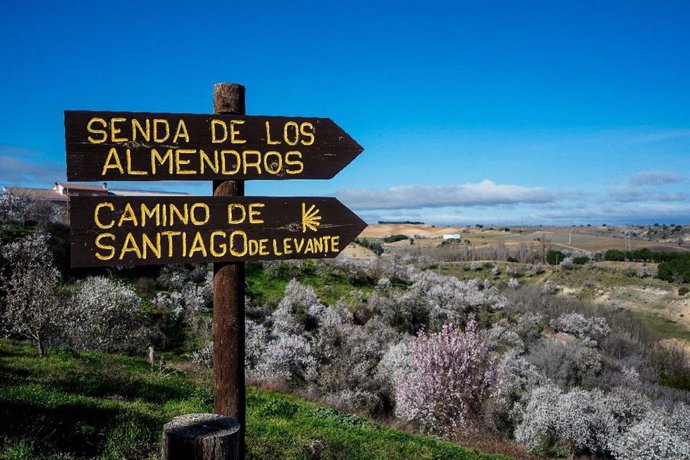 La Ruta del Vino de Rueda abre las puertas a la primavera con un extenso programa de actividades