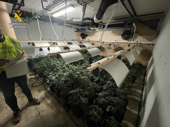 La Gurdia Civil desmantella dues xarxes de narcotrfic que operaven a les províncies d'Alacant, Murcia i Valencia