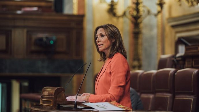 Archivo - La diputada de Vox en el Congreso por Sevilla, Reyes Romero.