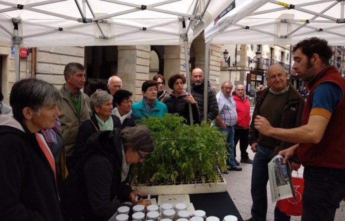 Archivo - Intercambio y reparto de plantel de tomate en San Sebastián