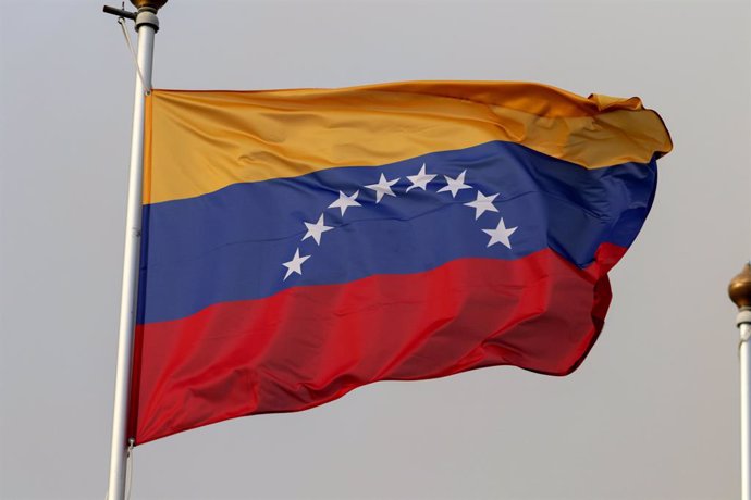 Archivo - November 2, 2023, Saint Petersburg, Russia: The national flag of the Republic of Venezuela as a participating country at the 12th St. Petersburg International Gas Forum