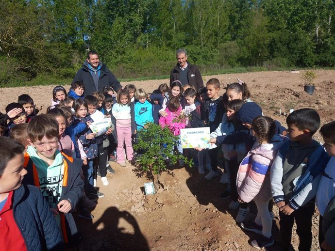 Más de 330 alumnos del CEIP San Prudencio de Albelda participan en una plantación en el entorno de las piscinas