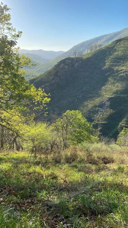 Rescatados en helicóptero dos senderistas ingleses desorientados en el monte en Bárcena Mayor