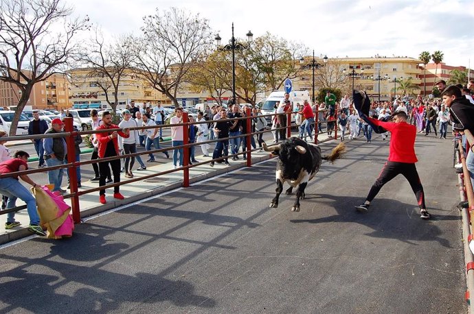 Fiesta del Toro Embolao de Los Barrios en una foto de archivo.