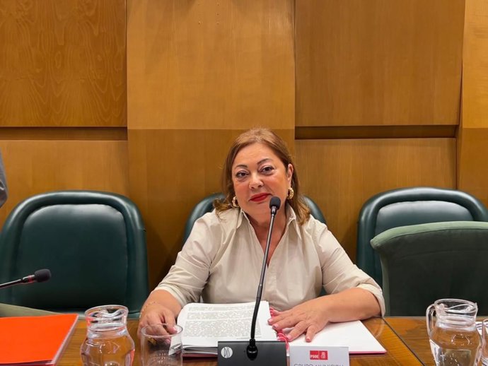 La concejal del PSOE en el Ayuntamiento de Zaragoza, Ana Becerril.
