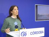 Foto: El PP de Córdoba afea al Gobierno que "no priorice" la ejecución de las variantes de El Viso y Santa Eufemia en la N-502