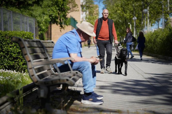 Un hombre y su perro guía caminando.