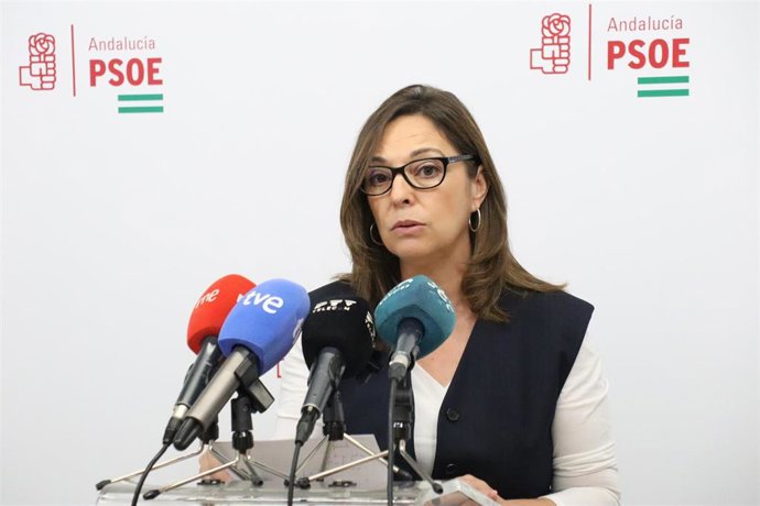 La portavoz del PSOE-A de Fomento, Articulación del Territorio y Vivienda en el Parlamento andaluz, Isabel Ambrosio, en la sede provincial de su partido en Córdoba.