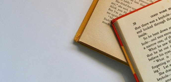 Dos libros de texto.