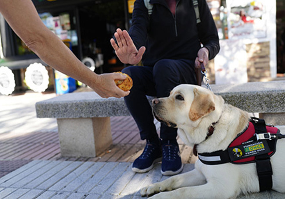Fundación ONCE del Perro Guía