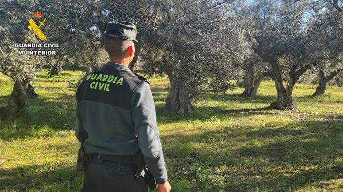 Archivo - Guardia Civil junto a unos olivares. Archivo.