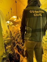 Foto: Desarticulados tres centros de producción de marihuana en Villanueva de Mesía (Granada) con 550 plantas