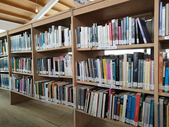 Libros en una biblioteca. Archivo.