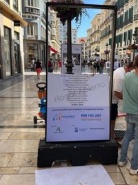 De la Torre condena actos vandálicos de muestra de calle Larios de Málaga y aboga por otros espacios para exposiciones