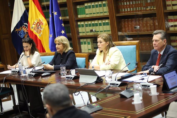 La presidenta del Parlamento de Canarias, Astrid Pérez, en la reunión del comité para desarrollar el II Plan de Igualdad de la Cámara