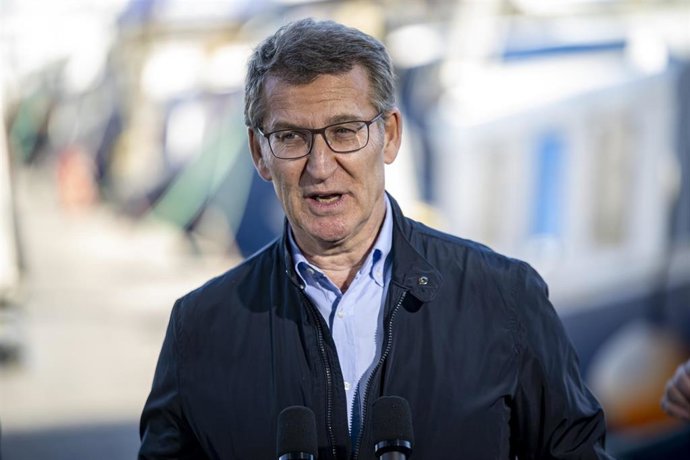El presidente del PP, Alberto Núñez Feijóo.
