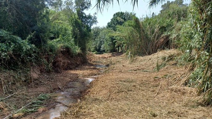 El torrente de Vallmoll (Tarragona) después de los trabajos de mantenimiento de cauces realizados por la ACA