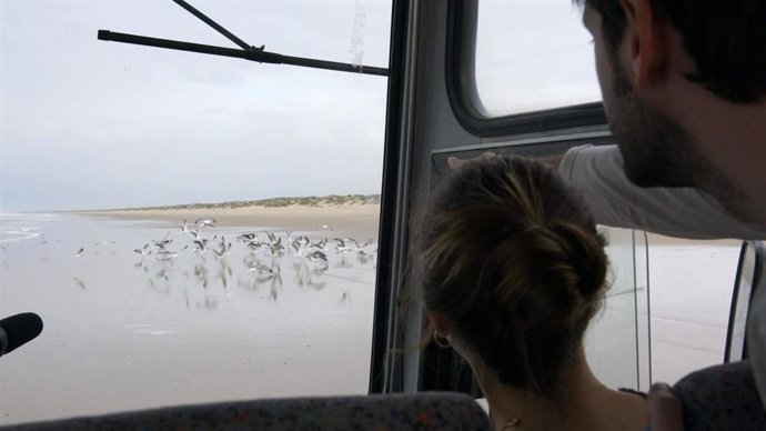 Personas viendo aves en Doñana.