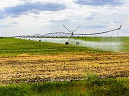 Los regantes instan a fomentar el uso de agua regenerada para riego y piden las infraestructuras necesarias.