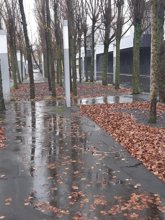 Foto: Martes lluvioso y temperaturas más bajas en Euskadi