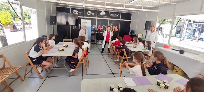 Archivo - Imagen de archivo de un taller en el Parque de las Ciencias de Granada.