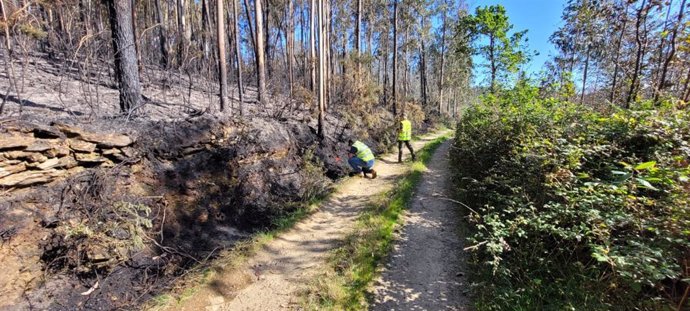 Imagen de los agentes forestales investigando un incendio de Coristanco.