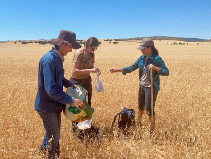 Archivo - El equipo de investigación de la UMH en la Junquera