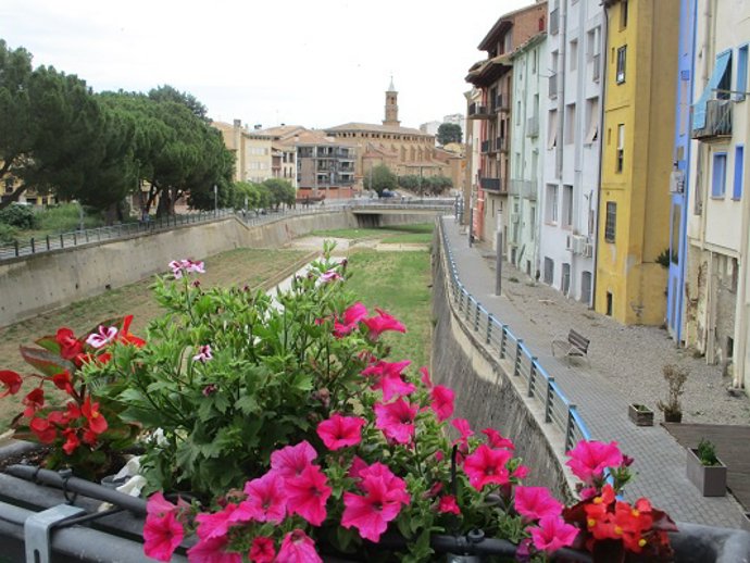 Flores en Barbastro (Huesca).