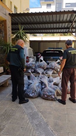 Guardia Civil descubre 456 kilos de hachís en el techo de un semirremolque en el puerto de Motril (Granada).