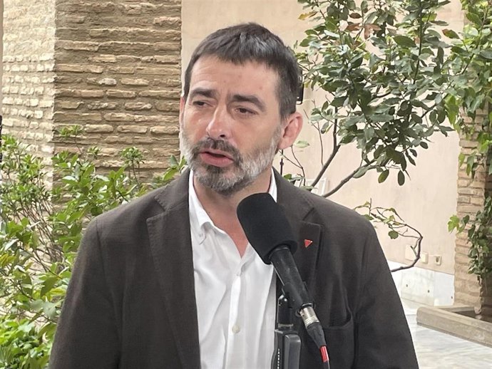 El diputado de IU Aragón, Álvaro Sanz.