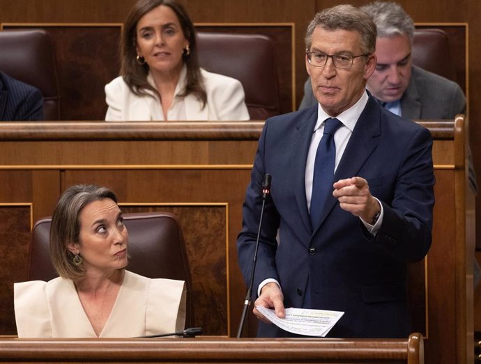 El líder del Partido Popular, Alberto Núñez Feijóo, interviene durante una sesión de control, en el Congreso de los Diputados, a 10 de abril de 2024, en Madrid (España). 