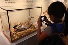 Safari fotográfico, una de las actividades dle campamento 'Museo de verano' del MNCN.
