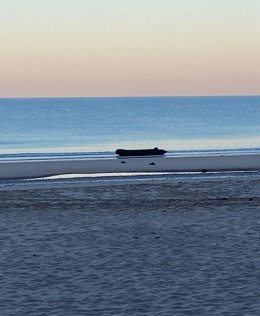 Embarcación en la que han llegado los migrantes a la playa de la Victoria