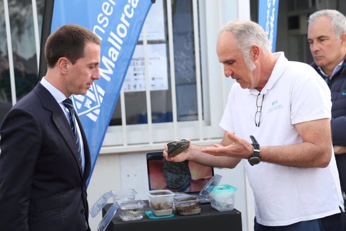 El presidente del Consell de Mallorca, Llorenç Galmés, observa algunos de los hallazgos de las excavaciones el pecio de ses Fontanelles.