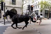 Foto: R.Unido.- Al menos cuatro heridos por el desbocamiento de varios caballos en Londres