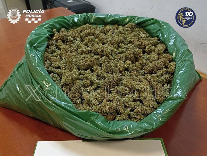 Imagen de los cogollos de marihuana intervenidos por la Policía Local de Murcia