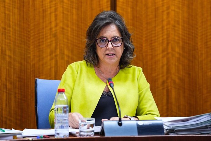 La consejera de Salud y Consumo, Catalina García, en la comisión parlamentaria del 24 de abril de 2024.