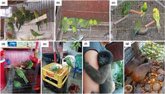 Foto: Un estudio de la UPO (Sevilla) y CSIC en el Neotrópico alertan de la tenencia de mascotas salvajes para la salud humana