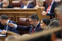 Vox reta al PP a citar en el Senado a Begoña Gómez ante el "gravísimo caso de corrupción" que investiga la Justicia