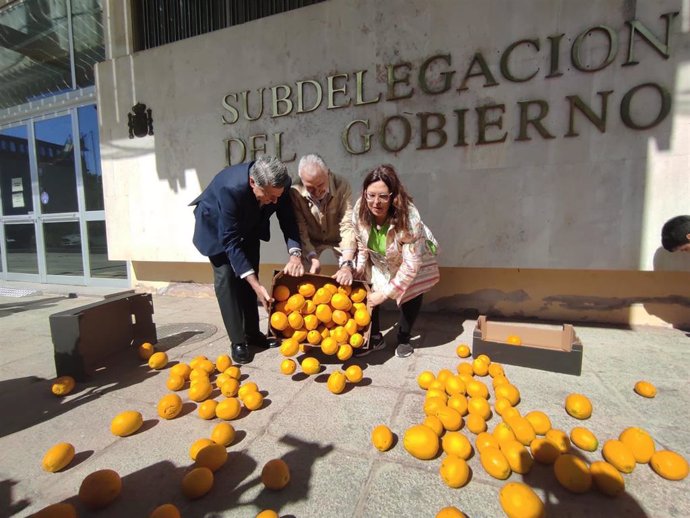 Fernández de Mesa (centro), entre Sánchez de Puerta (izda.) y Quintero (dcha.), tirán naranjas ante la Subdelegación del Gobierno durante la protesta.