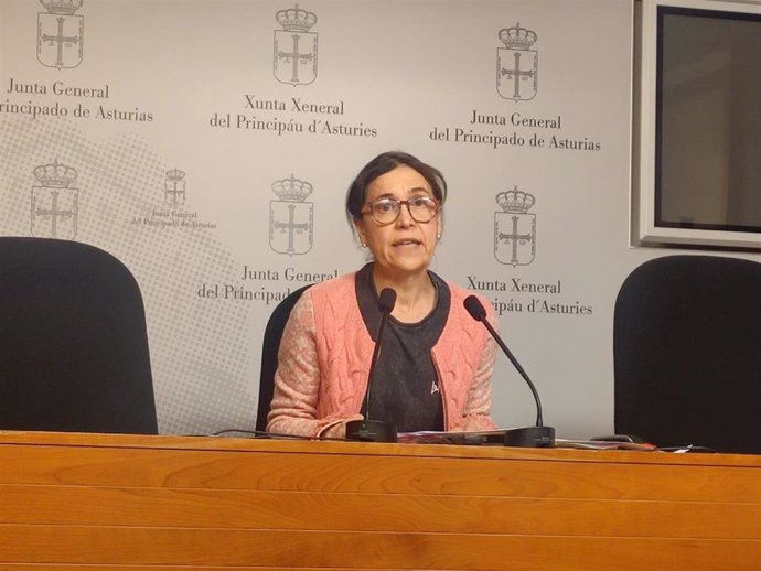 La portavoz del PSOE en la Junta General, Dolores Carcedo