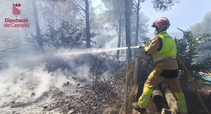 Incendio forestal en Cabanes (Castellón)