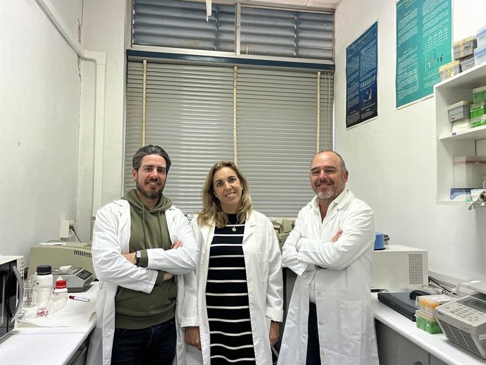 Archivo - Investigadores de la UMA sobre enfermedad hepática.