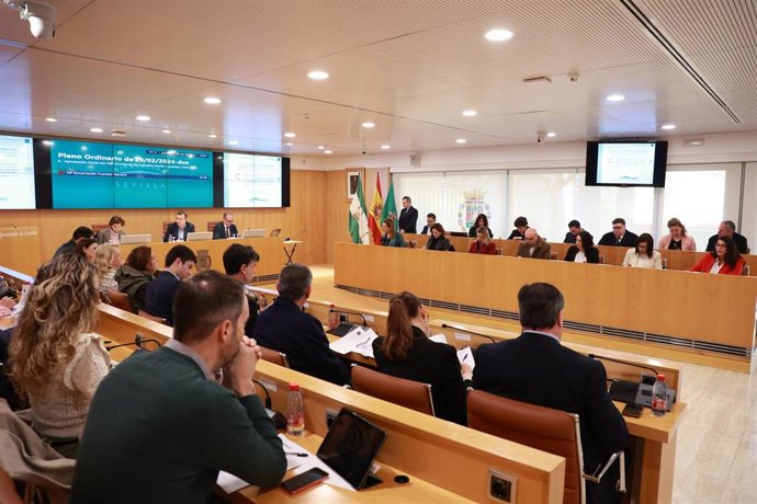 Archivo - Imagen de archivo del pleno de la Diputación 