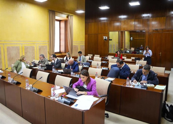 Diputados de la comisión de Empleo, Empresa y Trabajo Autónomo del Parlamento andaluz.